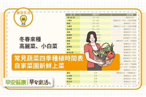 一年四季種菜|蔬菜種植季節表：家庭主婦菜園規劃指南 